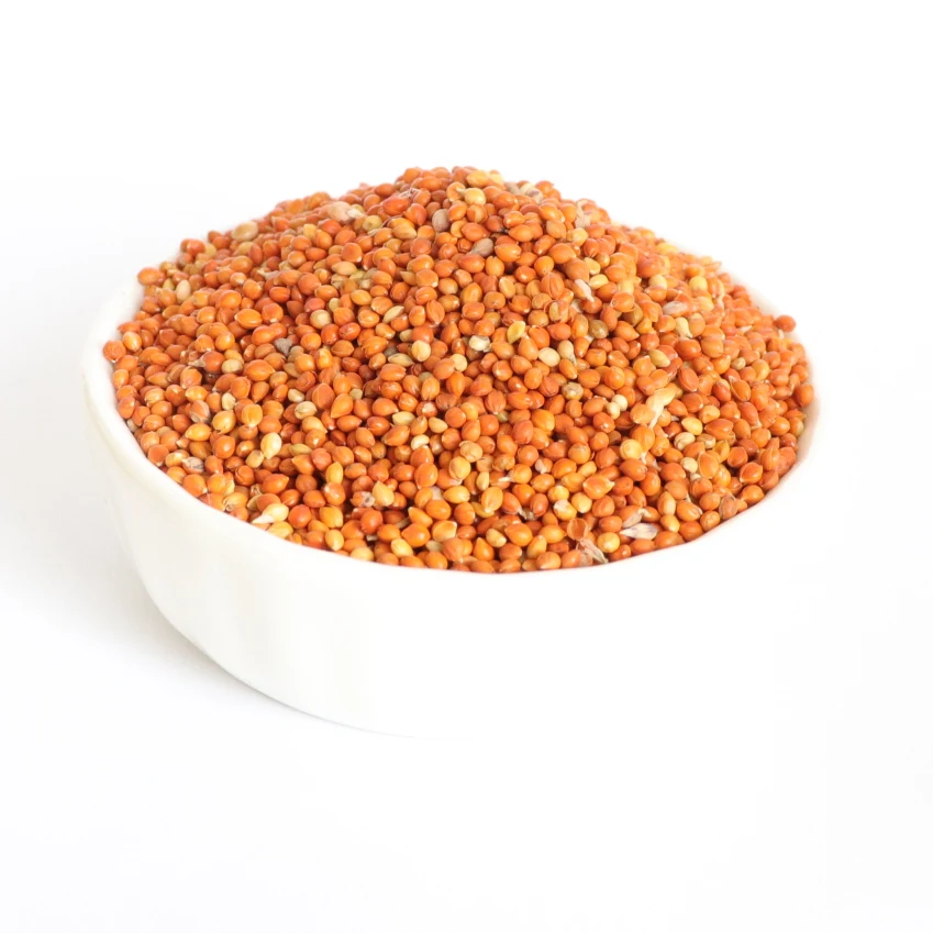 Китайский Гонконг ГУ Цзы высокое качество в Индонезию Вьетнам семена птиц Красный прос