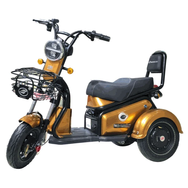 electric scooter trike Cargo and passenger dual use electric trike scooter two seats