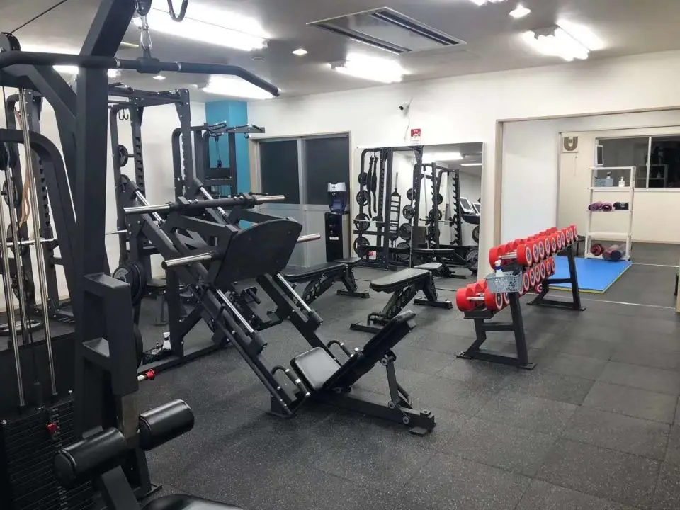 Commercial Fitness Equipment Sports Training Device Plate Loaded Gym Use Club 40 Degree Leg Press