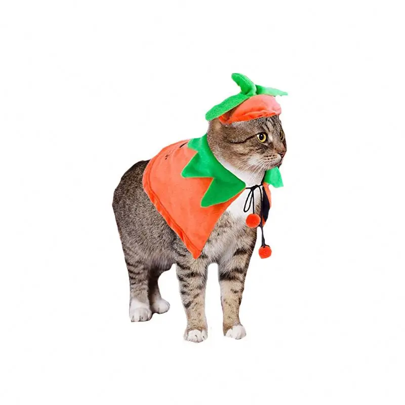 2023 Wholesale designer cute funny luxury  pumpkin pet cat dog party costumes cloak Halloween dog clothes