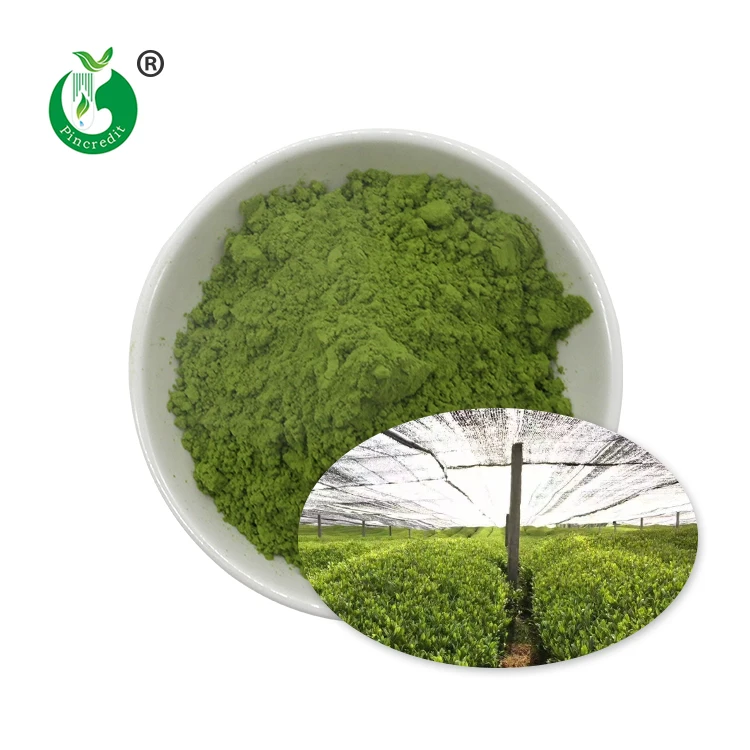 
OEM Organic Matcha Tea Powder With Private Label 
