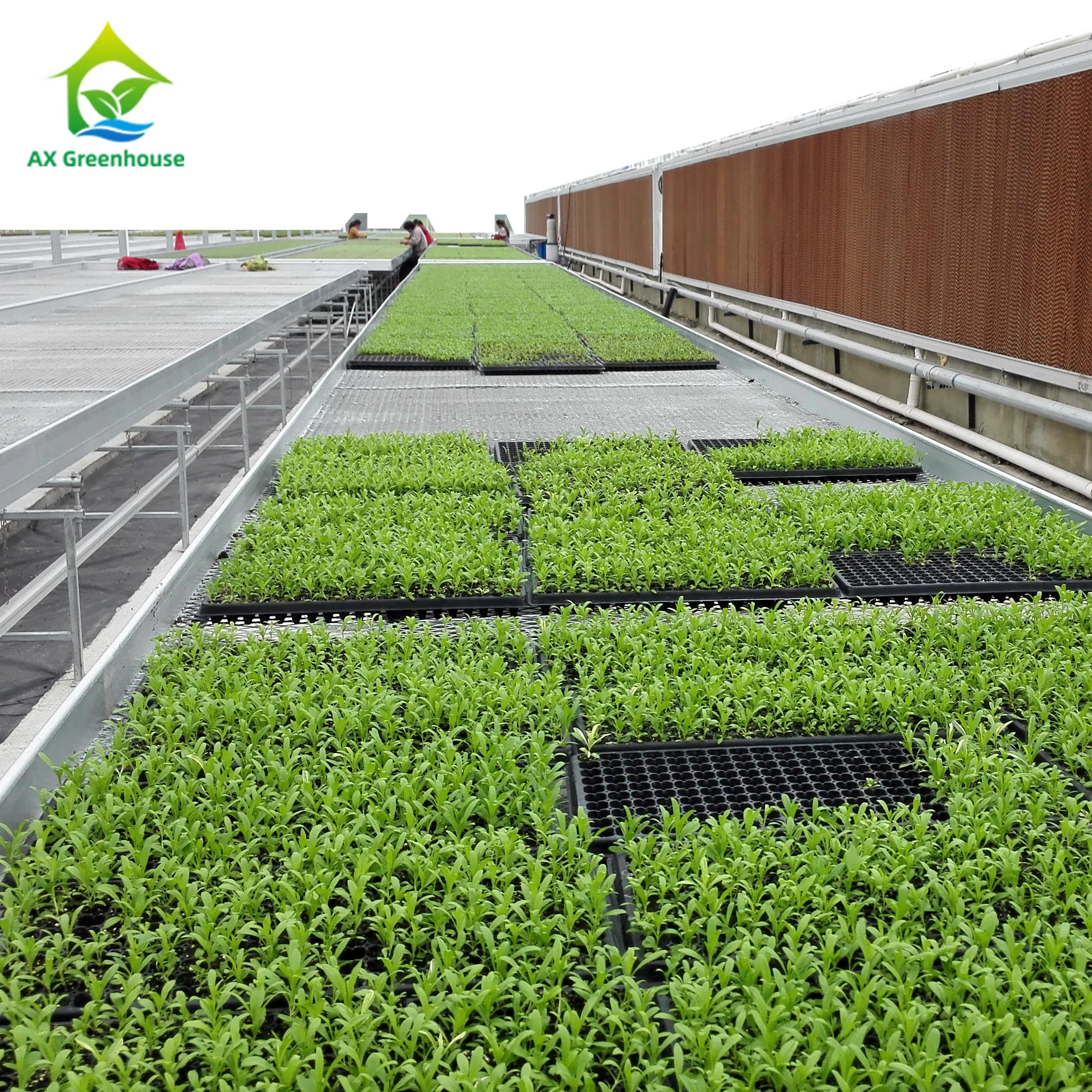 4x8 Ebb Flow System Indoor Hydroponic Culture Movable Rolling Bench Grow Table Seedbed For Plant Growing