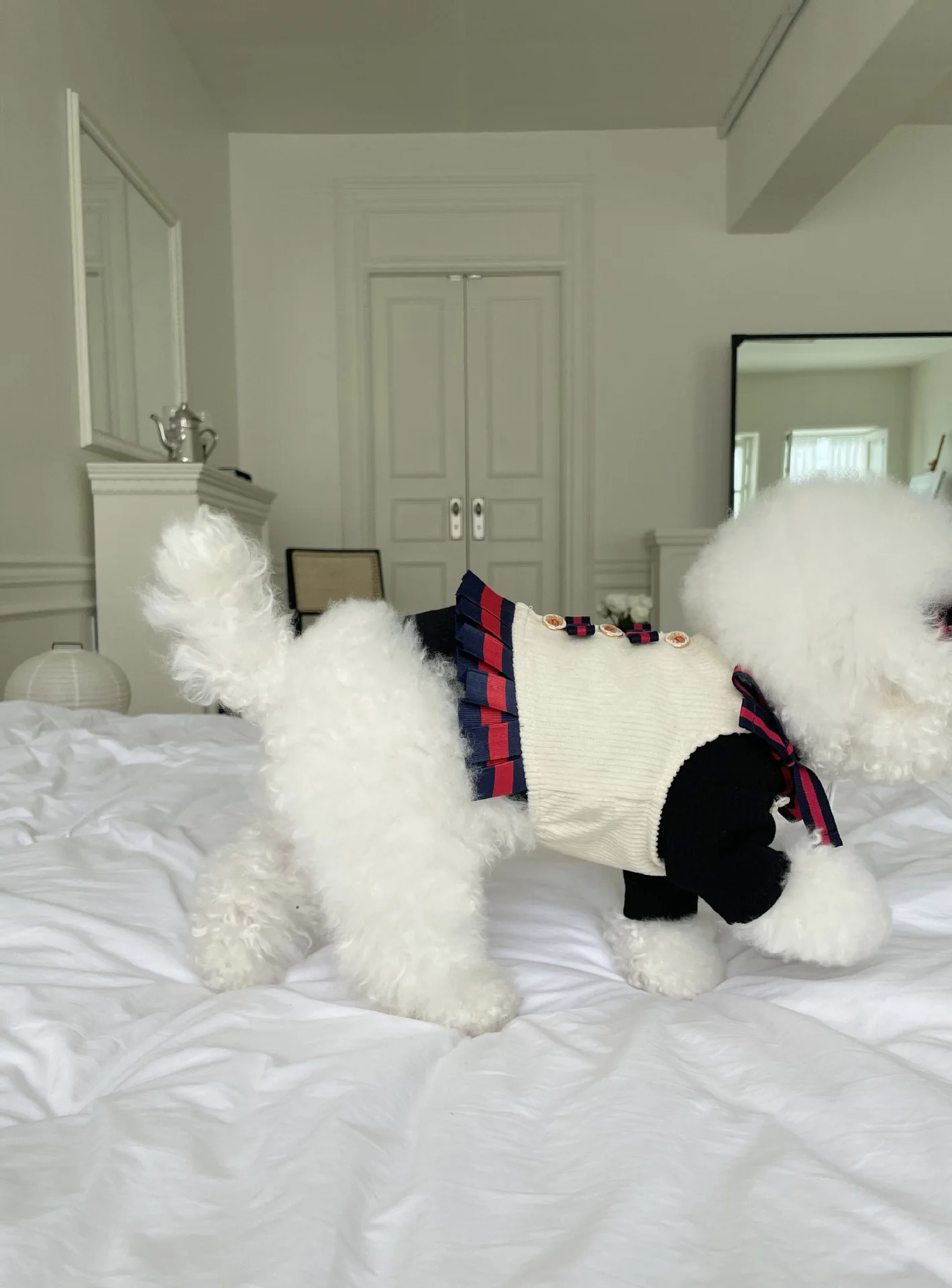 Fashionable  Designer Luxury brand Newest Elegant Design Dog Dress Clothes Knitted Dog Sweater Pet Slip Dress With bow tie Head