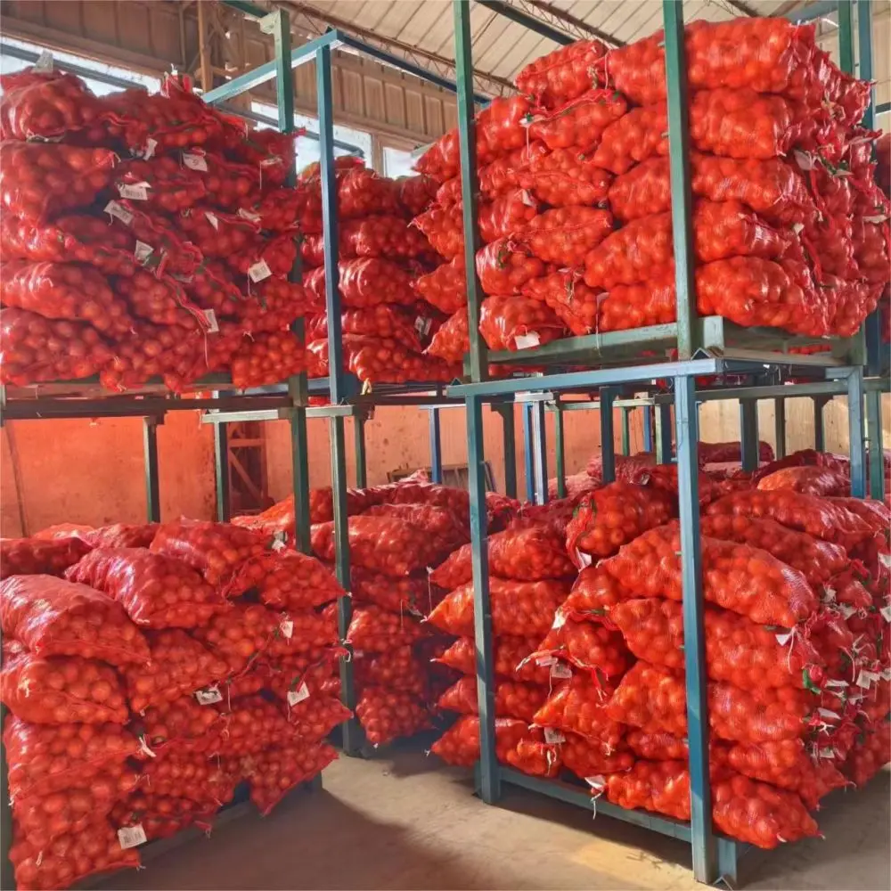 New Crop Fresh Vegetables Hot Selling Good Quality  Red Onion to Export