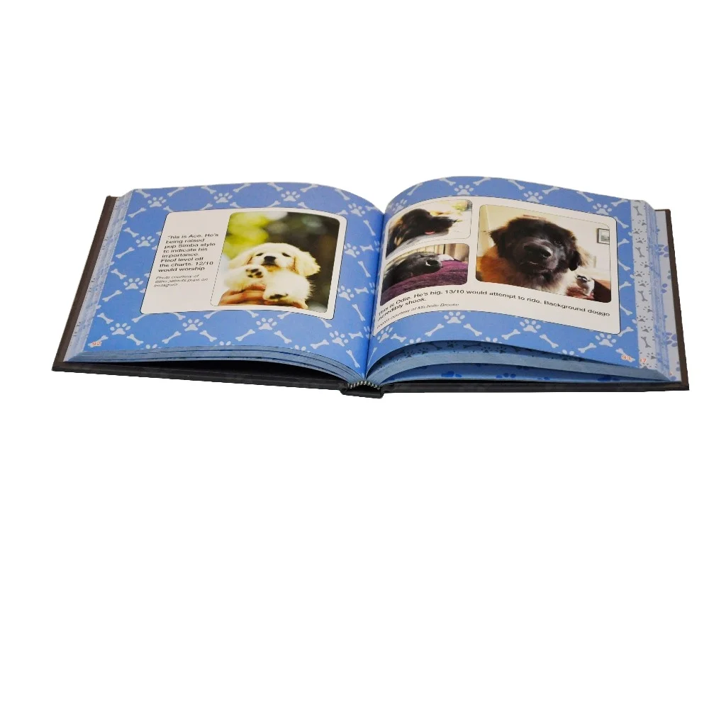 Talking photo album/recordable photo frame printing