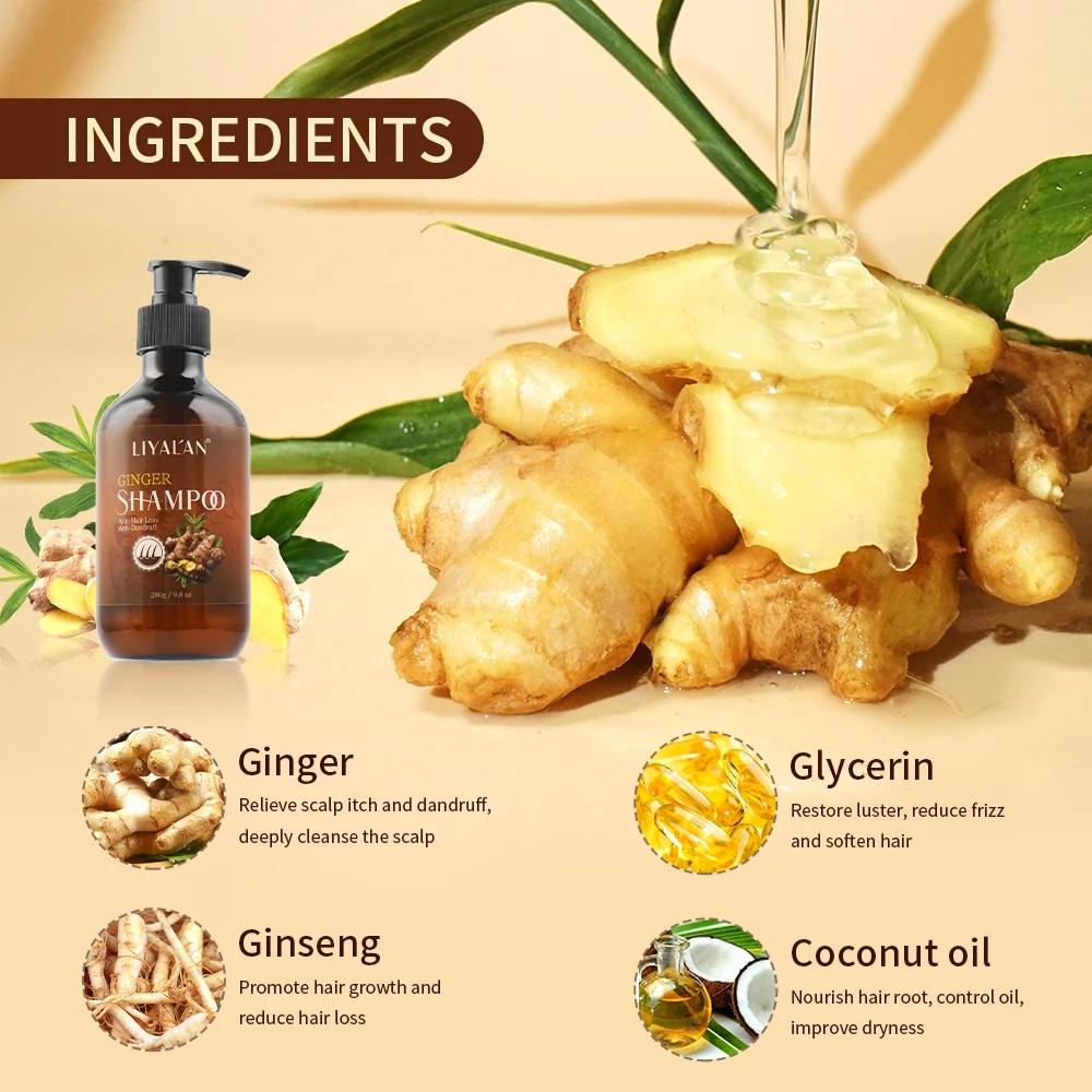 Natural Organic Hair Products Deep Clean Anti Hair Loss Anti-Dandruff Hair Growth Ginger Shampoo