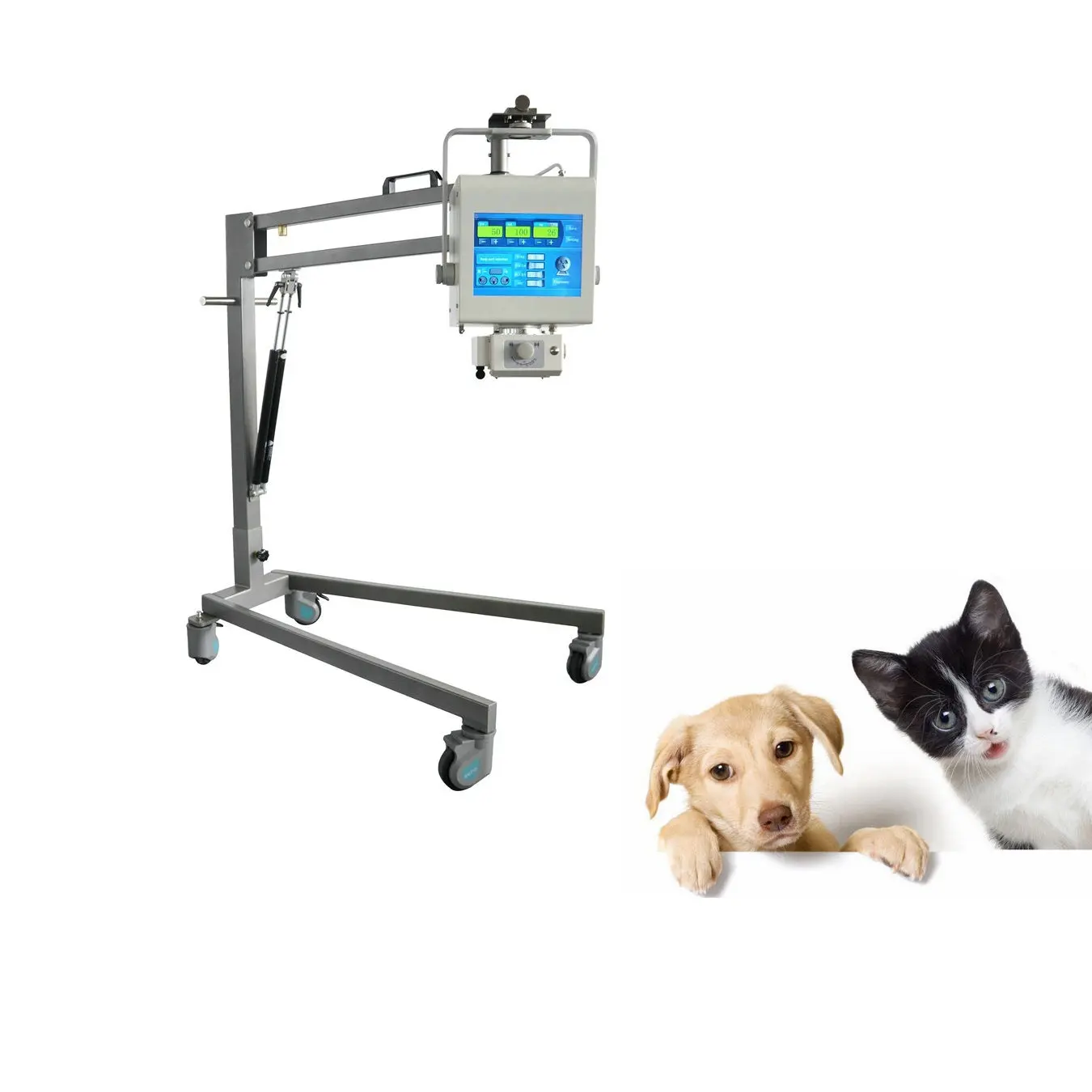 China medical mobile portable 100ma 50ma small mini analog dr digital animal pet vet x ray machine price