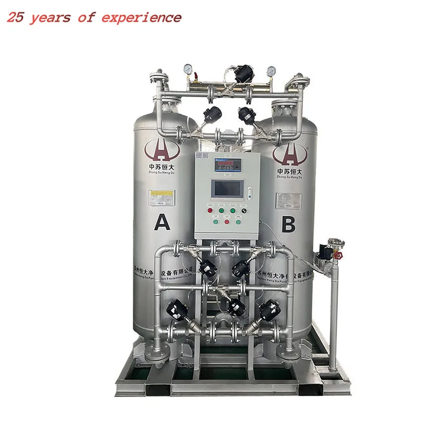 Advanced Gas Generation Equipment PSA Nitrogen Plant High Purity 95%-99.9995% Nitrogen Generator for Laboratory