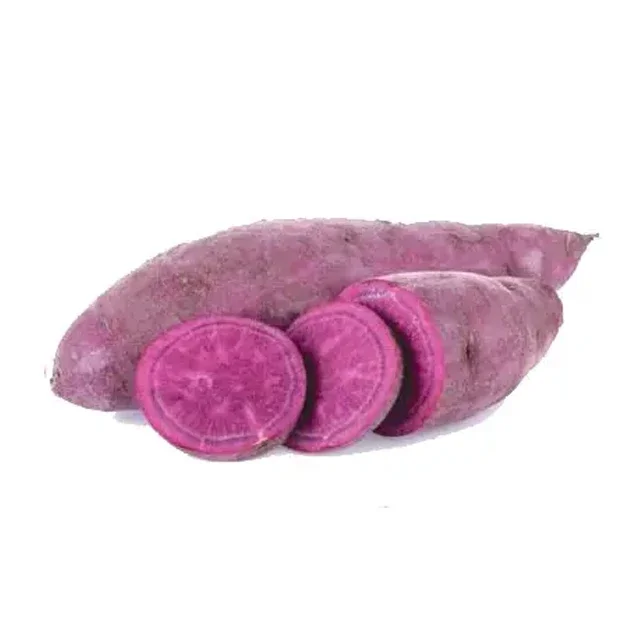 100% Fresh Purple Sweet Potatoes Fresh Style Common Potato With Best Price High Quality