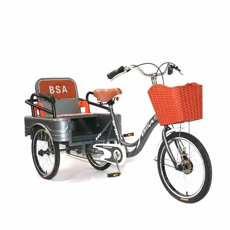 
2021 China Good Price 20 Inch 3 Wheel Tricycle Tricycle Cargo Trike For Adult 