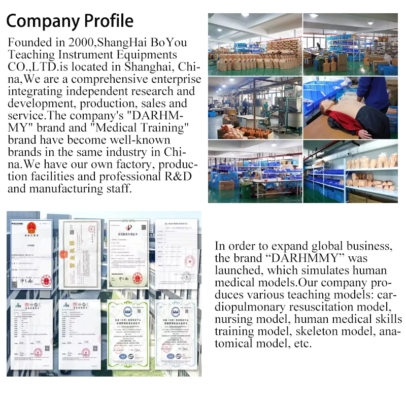 DARHMMY PVC Medical Science Practice Model Maternal and Child Health Male Condom for Training in Schools Hospitals