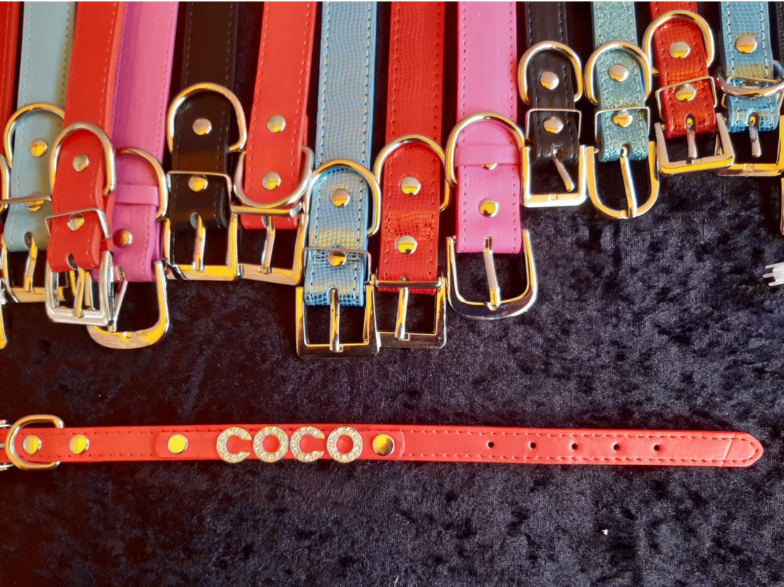 Crocodile diy name personalized dog collar with slide letter