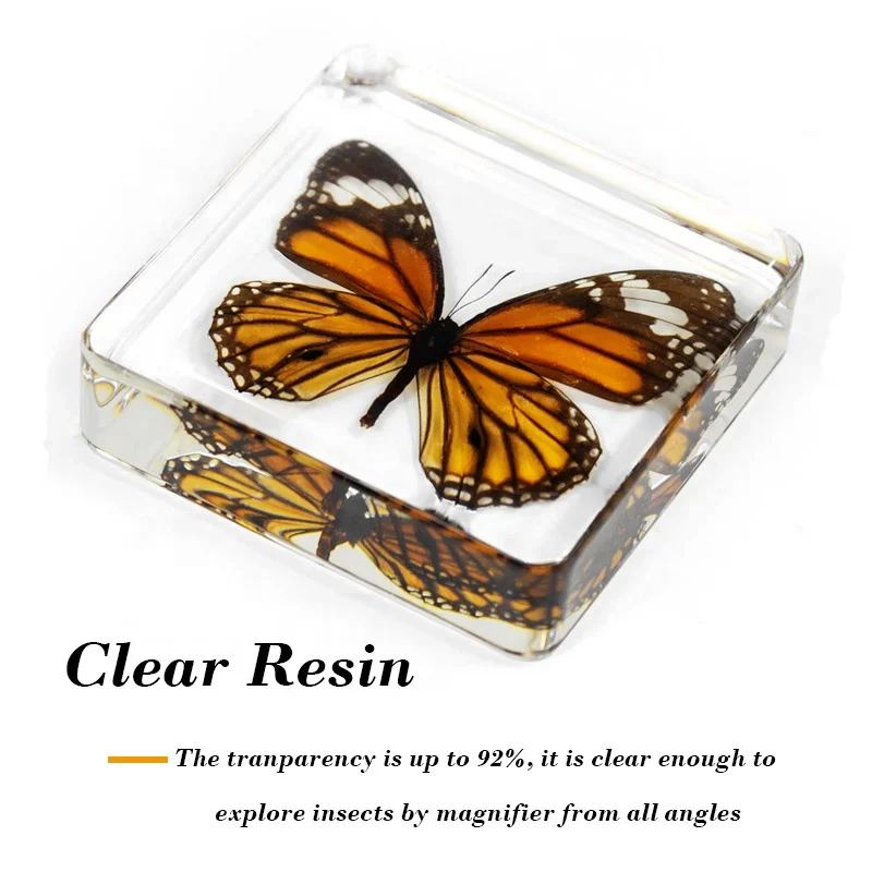 taxidermy butterfly resin cube real insects bug 75*75 mm factory customized clear epoxy acrylic blocks resin crafts ornaments