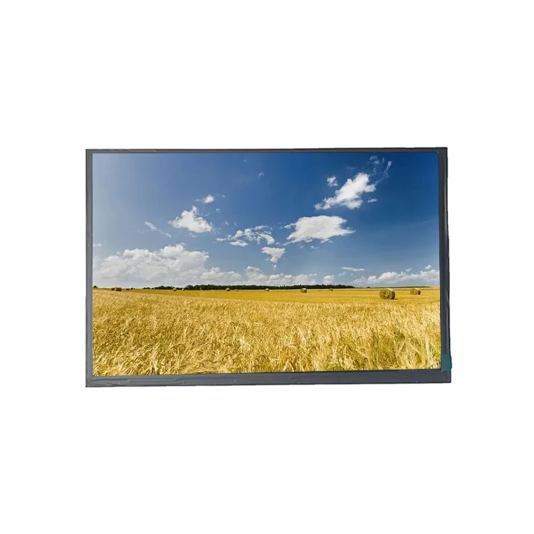 10,1 дюймов 1920*1200 LVDS 8 Lane интерфейс TFT ЖК-экран IPS экран tft дисплей модуль