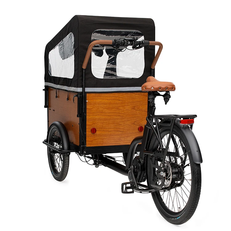 Family Use three wheel electric tricycle 250W 48V mid drive electric cargo bike e bakfiets for cargo delivery