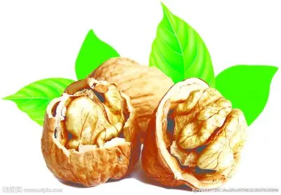 Top Grade Walnuts With High Quality Chinese Walnut Kernel Shell Bulk Style Packing Packaging Food Raw Origin Type Dried