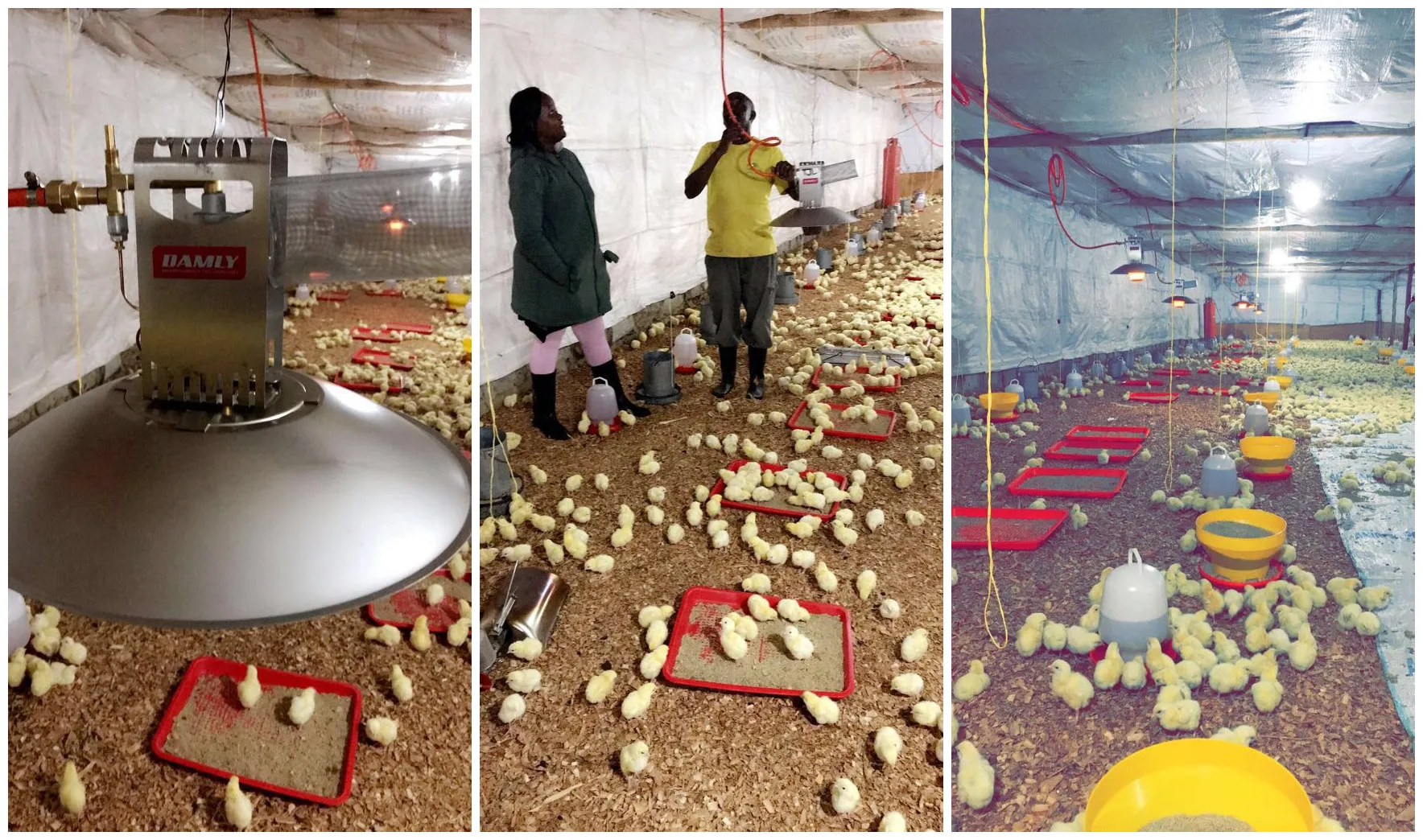 Супер высокоэффективный инфракрасный нагреватель для кур газовый Брудер для птицефермы