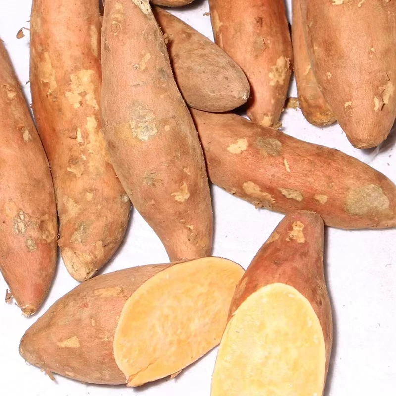 High quality fresh vegetable sweet potato for sale at best price fresh sweet potatoes