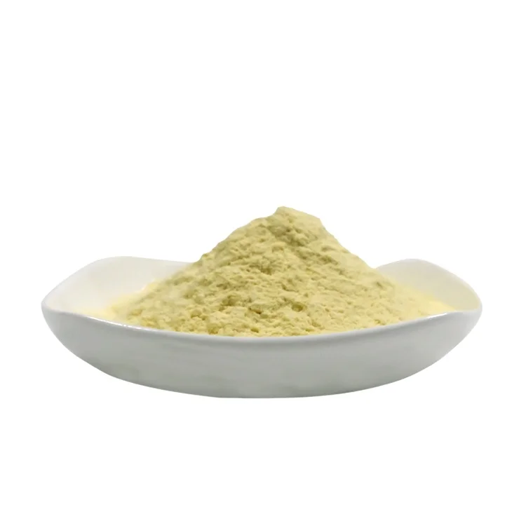 Dora Aminopoly80 Boosts Protein Synthesis with Enzyme-Hydrolyzed Amino Acids