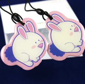 Hot Selling 13.56Mhz RFID PVC Keychain Tags Access control rfid card HF Ntg 213/215/216 Chip 1k NFC Epoxy resin card Coin Keytag