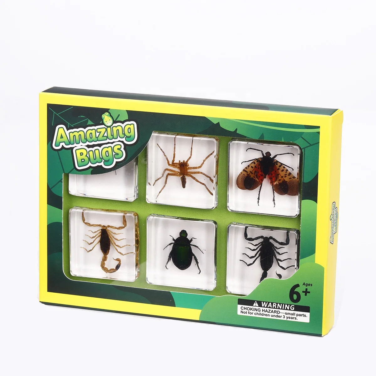 Оптовая продажа образцы насекомых из прозрачной смолы обучающий настоящий жук паук-Скорпион для детей дошкольные учебные ресурсы