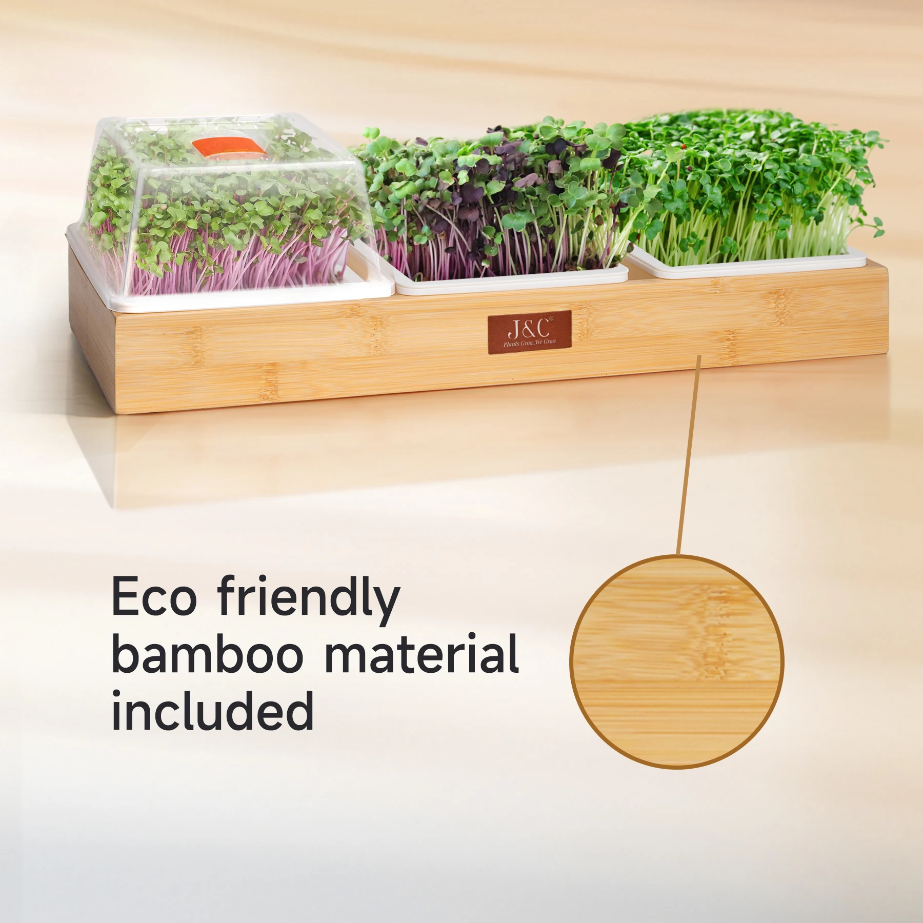 J&C Home Using Bamboo Made Trays Germinate Seed Easy Start Germination Tray Microgreens Harvest in 7 Days Grass Trays