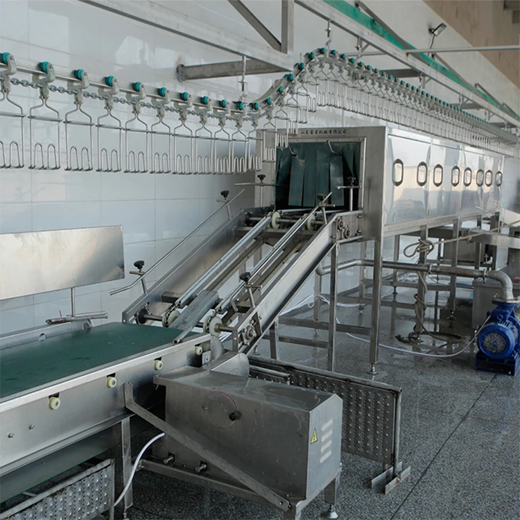 
2020 sell well poultry slaughterhouse equipment chicken slaughter line 