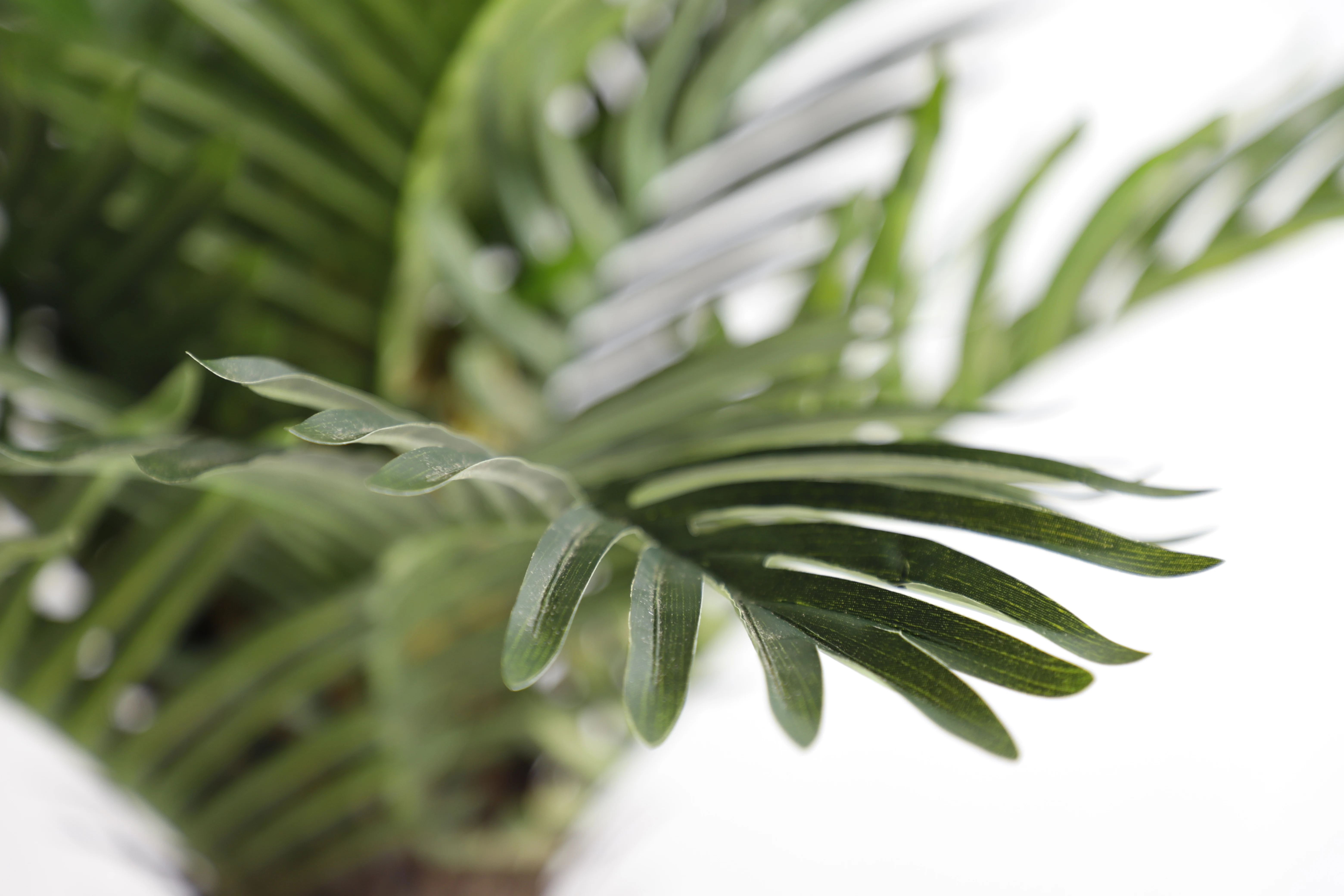 Fake Green Plants Plastic artificial Areca palm tree artificial plants phoenix palm tree with pot