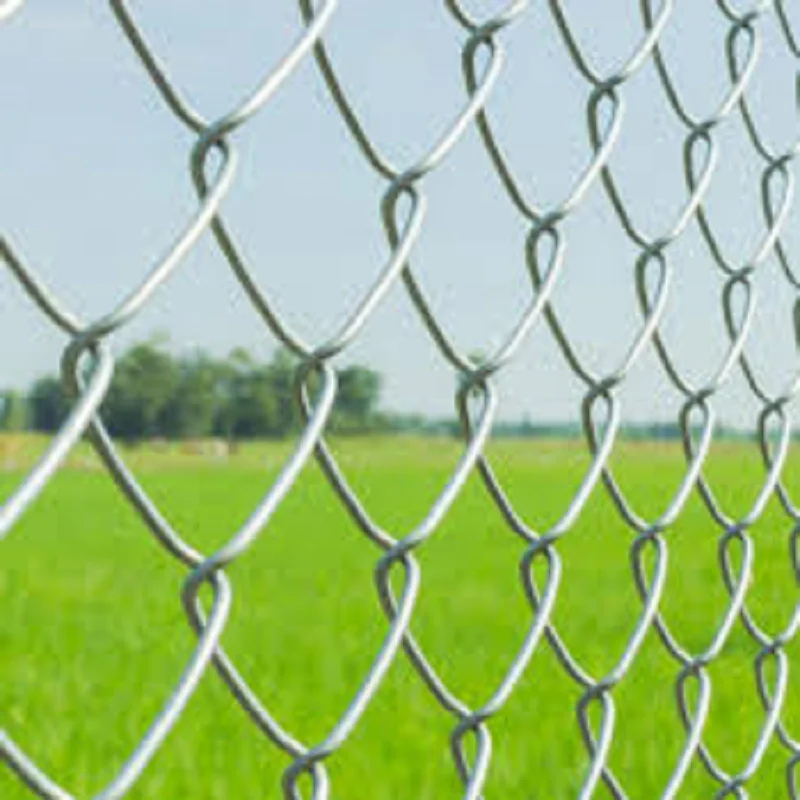 Galvanized Steel Chain Link Fence