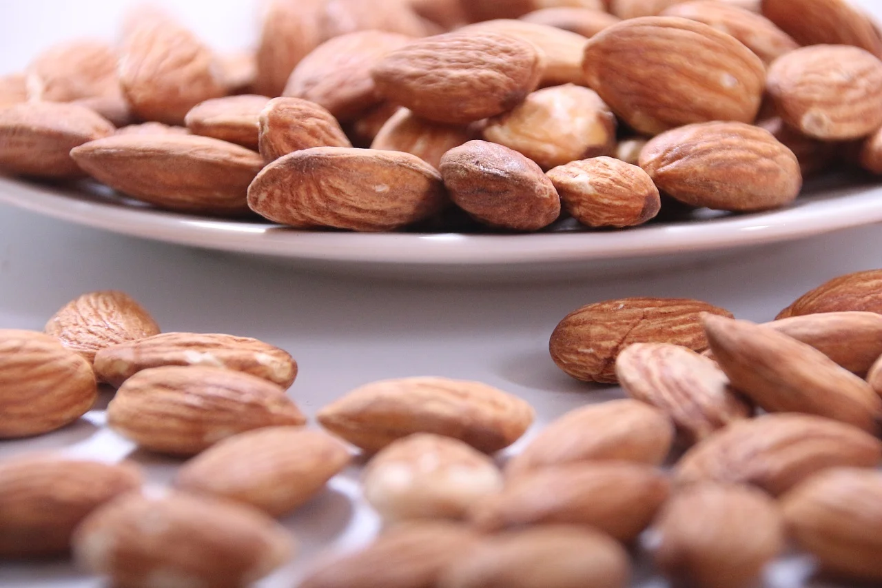 2023 New broad bean canned Chinese canned cheap delicious bean canned