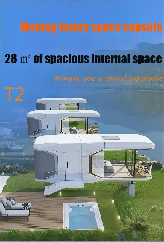 t2-1