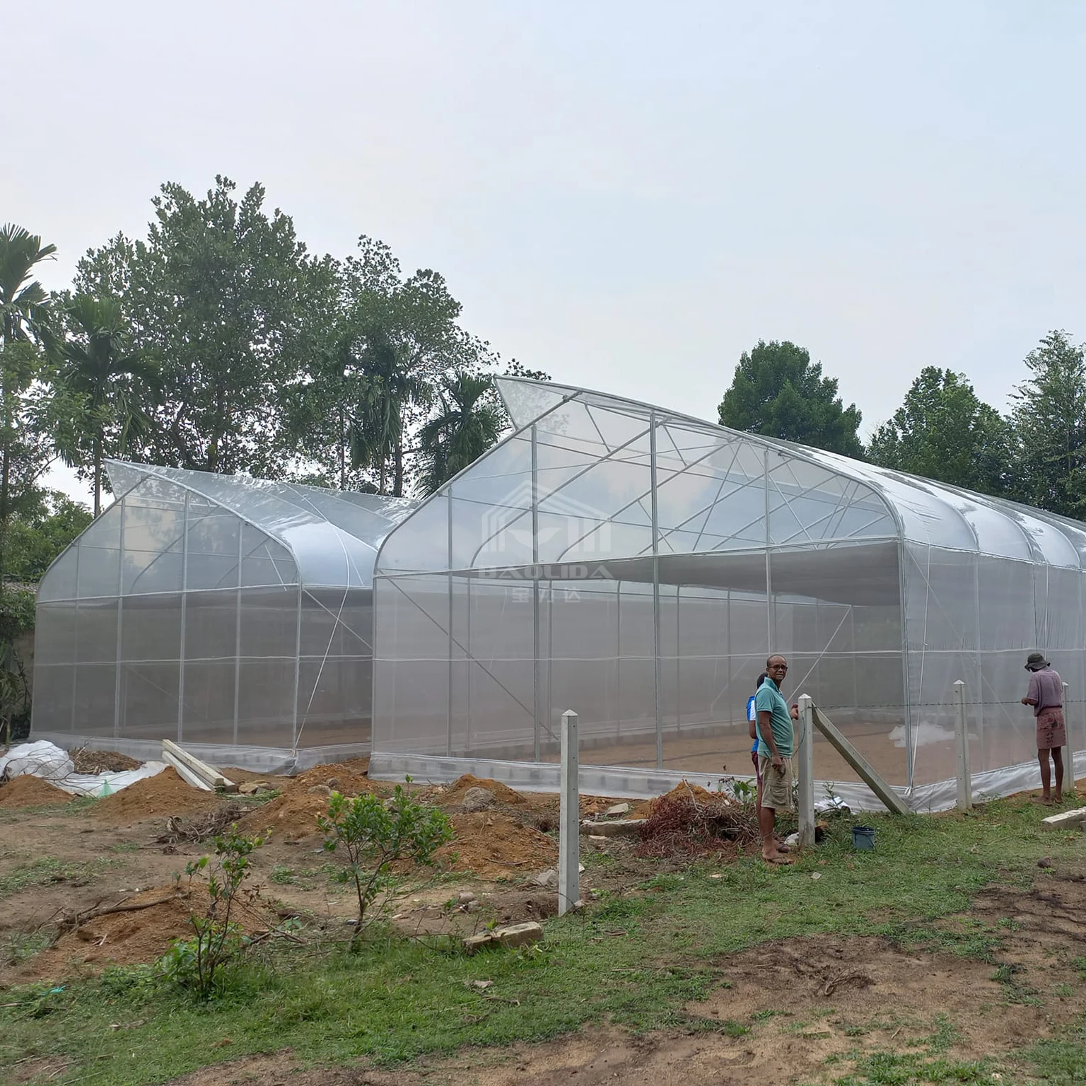 Serra a dente di sega natural ventilation insect net hydroponic system tunnel sawtooth greenhouse for vegetables planting