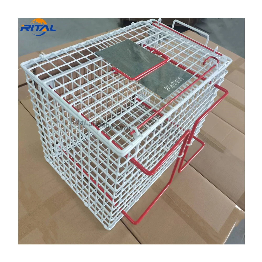 Cat bath cage injection anti-scratch bite Cat Restriction Cage for Pet Clinic Veterinary Equipment Injection Restraining