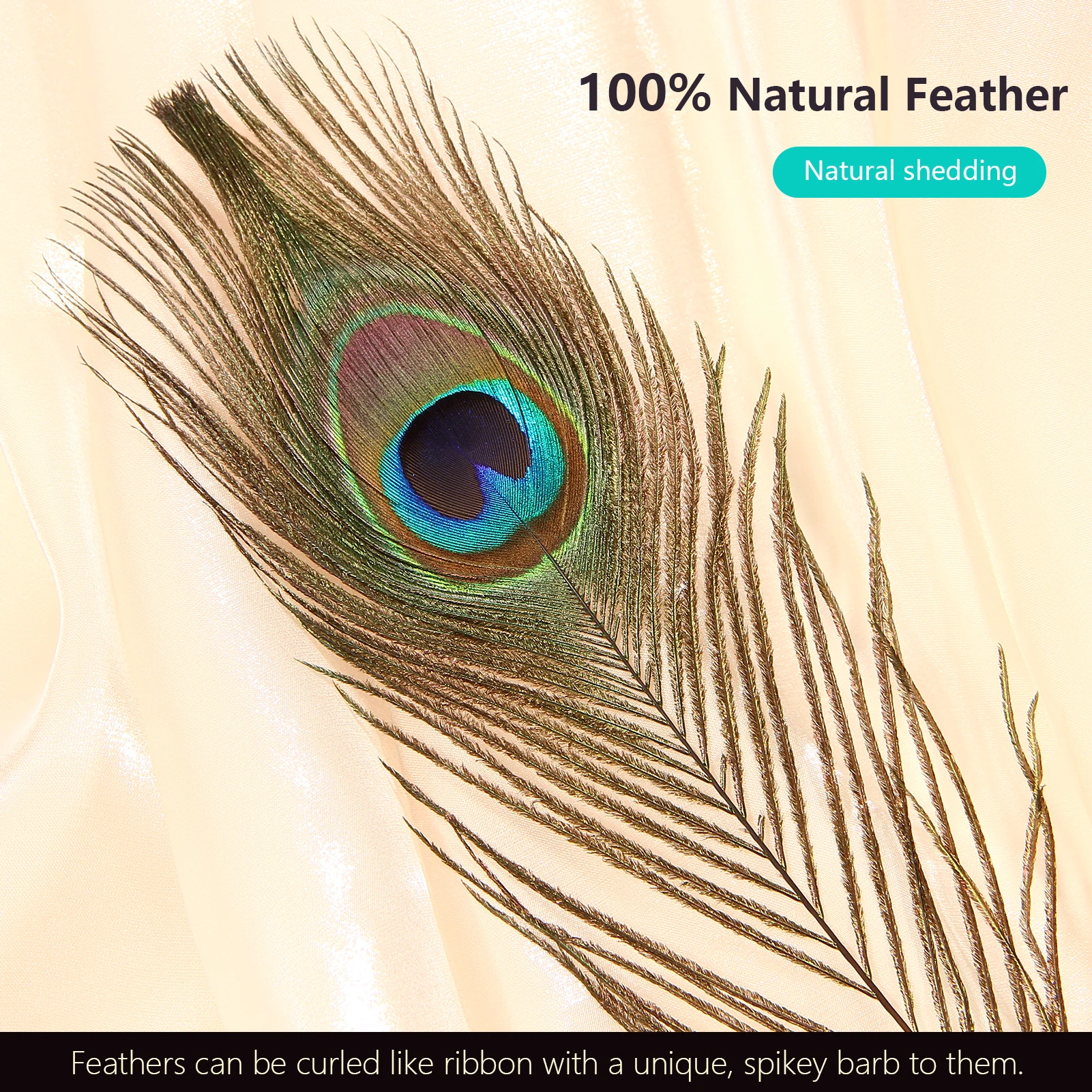 25-30cm High Quality Large Decor Feathers Natural Bulk Peacock Feathers for Centerpiece Decoration