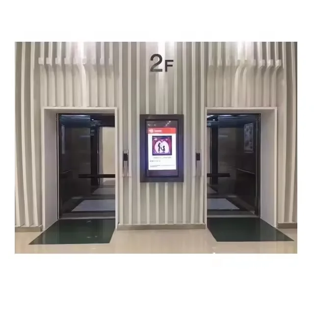 Hot sale 320KGS, 1-4 Persons Small traction Home Lift