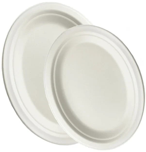 Natural Classic Disposable Sealable Freezable Waterproof Food Container Gradesugarcane Dinnerware Bagasse Oval Tray