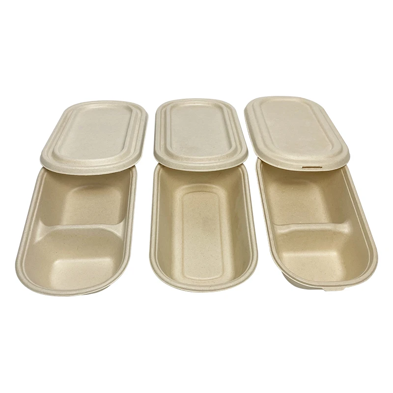 Customize Biodegradable Container 1000ml Eco Friendly Tableware Bagasse Food Container