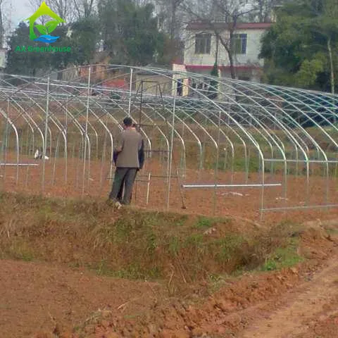 Сельскохозяйственное однопролетное туннельное Дешевое тепличное сельскохозяйственное