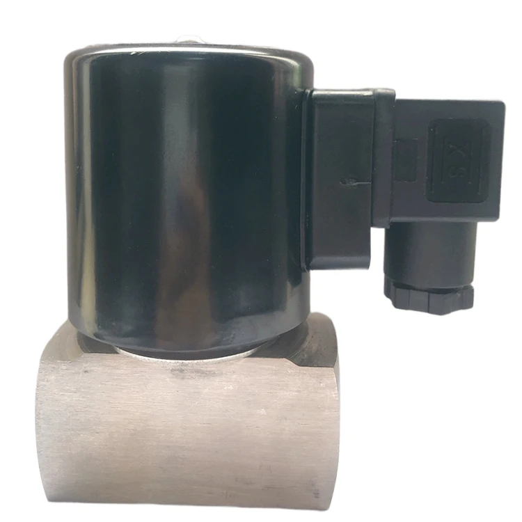 Factory price small multi-specification 220v stainless steel solenoid valve