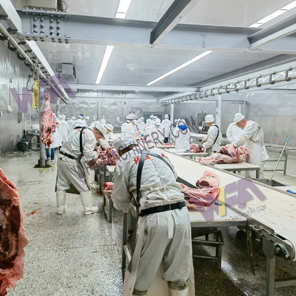 Modern Slaughter House Cattle Abattoir With Cow Butcher Meat Process Line Equipment