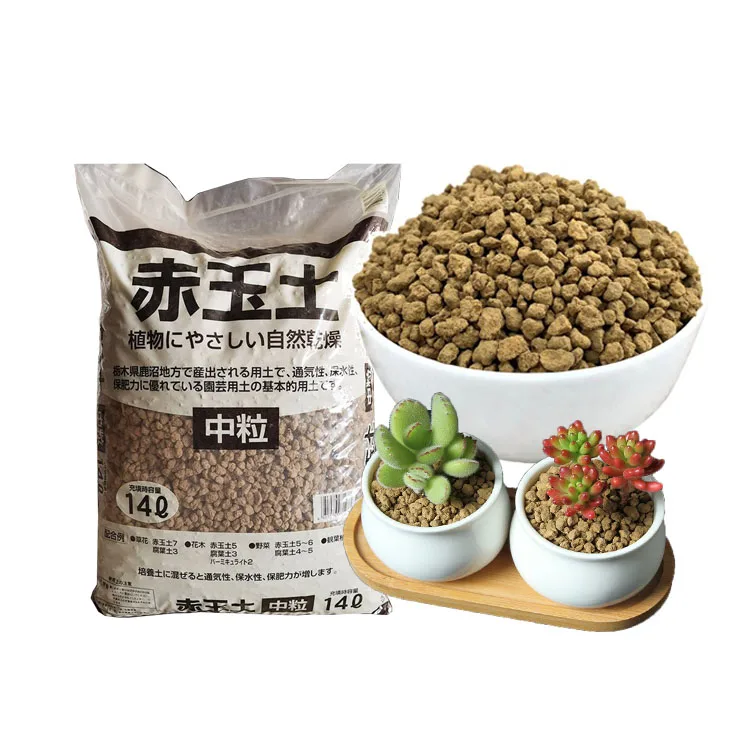 Gardening products Wholesale Bonsai soil akadama for horticulture succulent plants