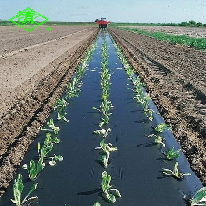 UV Stabilized / Resistant Anti weed White Black or Silver Black Reflective PE Garden Plastic Mulch Film