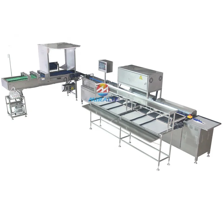 Commercial Customized Egg Grading And Packing Machine