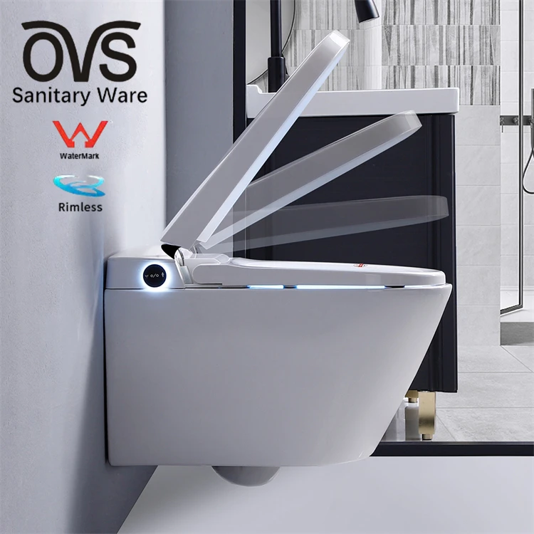 OVS WaterMark Australia Intelligent Toilets Smart Peeping Chinese Seat Electric Bidet Cover Automatic Toilet