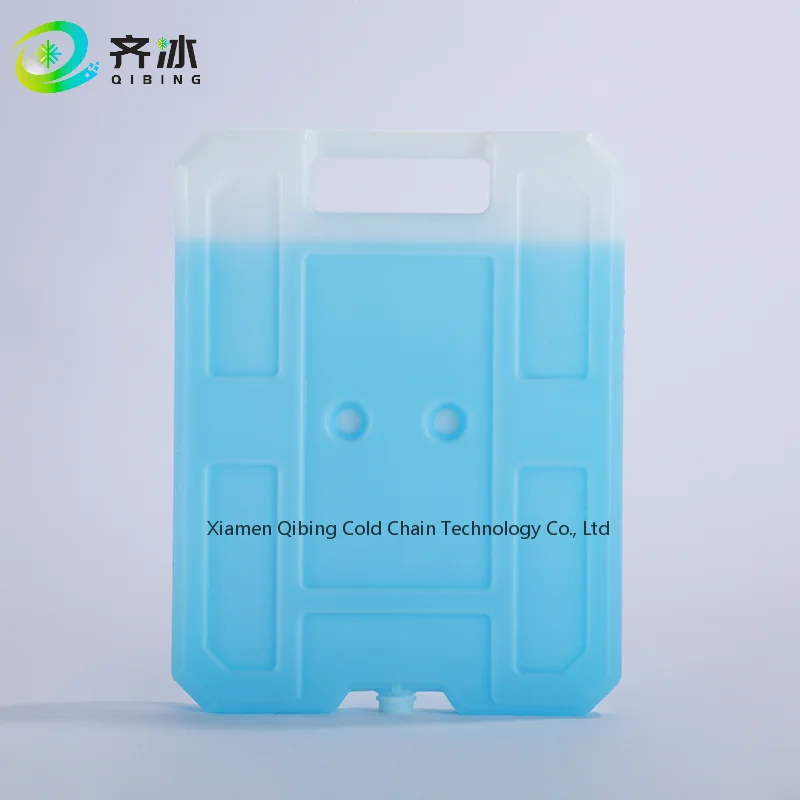 Cooler Bag and Foods Shipping BBQ Picnic Food Grade Gel Ice Cooler Box Reusable Gel Ice Bricks Insulated Bags Letter 5-7 Days