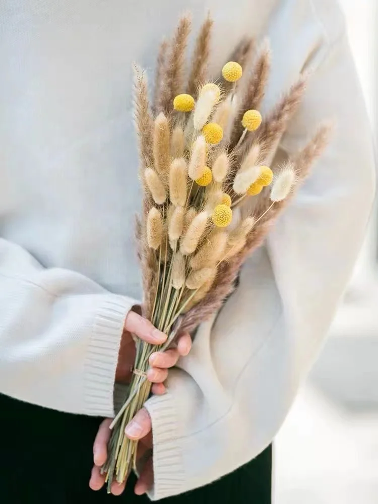Dried Flowers and Plants dried decorative pampas grass baby breath flower artificial