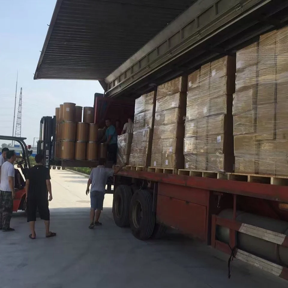 Wholesale 100% Pure Lactobacillus Reuteri Powder