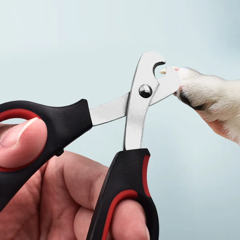Dog Grooming Scissors Sets Wholesale Pet Scissor Cat Pets Nail Cutter