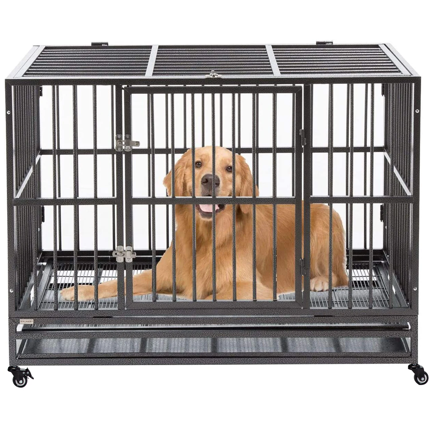 Open Top Dog Carrier Cage Amazon Dog Cage Metal Dog Cage