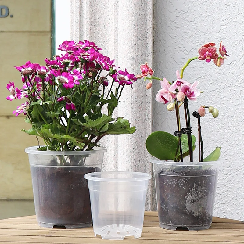 Butterfly orchid root control plastic root pot arum flower candle vine green velvet hollow transparent flower pot